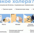 Холера - опасная инфекционная болезнь с выраженным поражением желудочно-кишечного тракта, возбудитель которой холерный вибрион - Ульяновский район